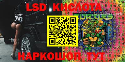 ГАЛЛЮЦИНОГЕННЫЕ ГРИБЫ Кулебаки