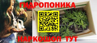 ГАЛЛЮЦИНОГЕННЫЕ ГРИБЫ Кулебаки