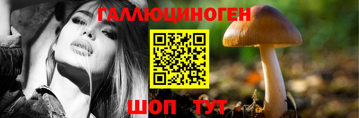 Псилоцибиновые грибы мицелий Заводоуковск